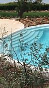 GLADIATOR POOL