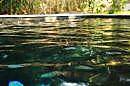 Piscina en entorno natural